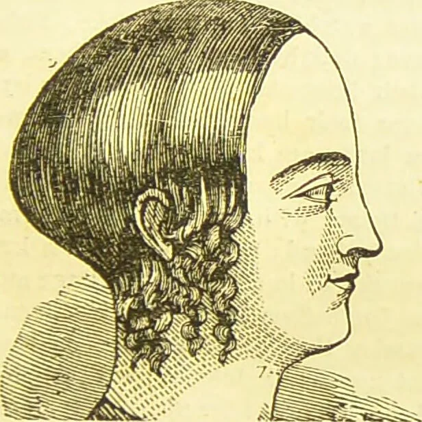 An illustration from New illustrated self-instructor in phrenology and physiology : together with the chart and character of ... as marked by ... / by O.S. and L.N. Fowler., 1877, leaf 85