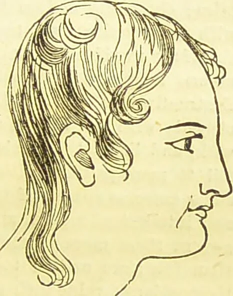 An illustration from New illustrated self-instructor in phrenology and physiology : together with the chart and character of ... as marked by ... / by O.S. and L.N. Fowler., 1877, leaf 85