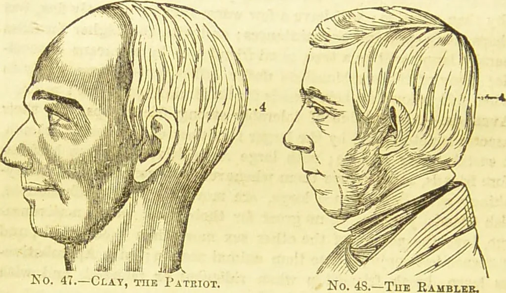 An illustration from New illustrated self-instructor in phrenology and physiology : together with the chart and character of ... as marked by ... / by O.S. and L.N. Fowler., 1877, leaf 90