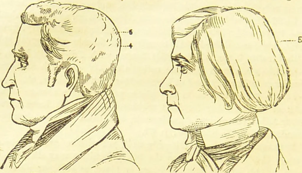 An illustration from New illustrated self-instructor in phrenology and physiology : together with the chart and character of ... as marked by ... / by O.S. and L.N. Fowler., 1877, leaf 92