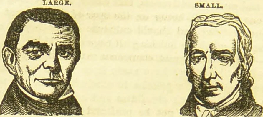 An illustration from New illustrated self-instructor in phrenology and physiology : together with the chart and character of ... as marked by ... / by O.S. and L.N. Fowler., 1877, leaf 94