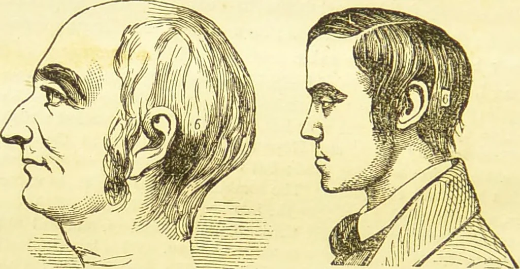 An illustration from New illustrated self-instructor in phrenology and physiology : together with the chart and character of ... as marked by ... / by O.S. and L.N. Fowler., 1877, leaf 96