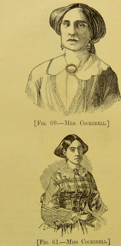 An illustration from The natural history of the human temperaments : their laws in relation to marriage, and the fatal consequences of their violation to progeny, with the indications of vigorous life and longevity : followed by a fugitive essay on the protection of society against crime / by W. Byrd Powell., 1869, leaf 200