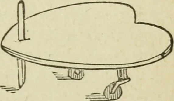 An illustration from The Salem witchcraft ; The planchette mystery ; and Modern spiritualism / with Dr. Doddridge's dream., 1886, leaf 69