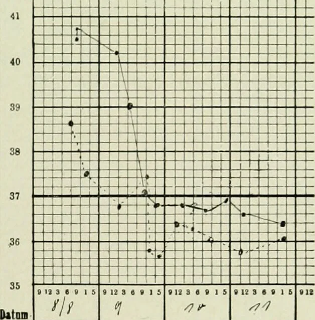 An illustration from The treatment of syphilis with salvarsan / by Sanitätsrat Dr. Wilhelm Wechselmann ... with an introduction by Professor Dr. Paul Ehrlich ... Only authorized translation, by Abr. L. Wolbarst ... with 15 textual figures and 16 coloured illustrations., 1911, leaf 73