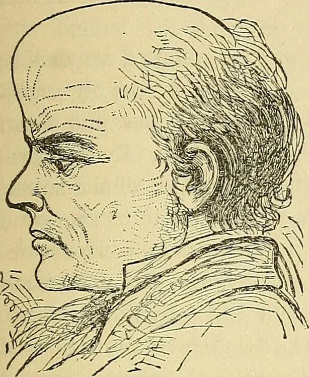 An illustration from How to teach according to temperament and mental development or : Phrenology in the school-room and the family / by Nelson Sizer., 1877, leaf 227