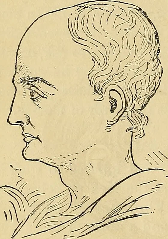 An illustration from How to teach according to temperament and mental development or : Phrenology in the school-room and the family / by Nelson Sizer., 1877, leaf 266