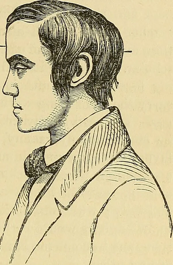 An illustration from How to teach according to temperament and mental development or : Phrenology in the school-room and the family / by Nelson Sizer., 1877, leaf 29