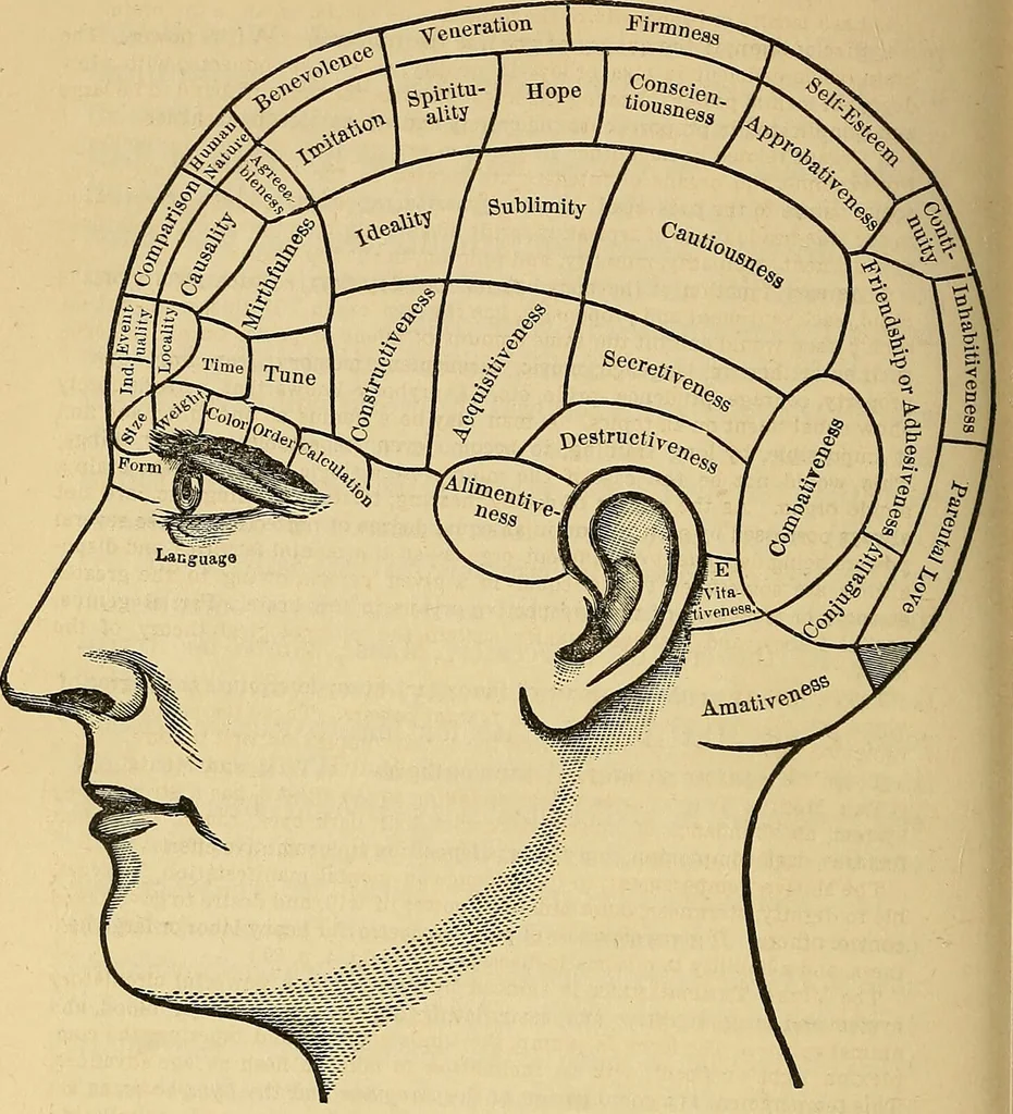 An illustration from How to teach according to temperament and mental development or : Phrenology in the school-room and the family / by Nelson Sizer., 1877, leaf 330
