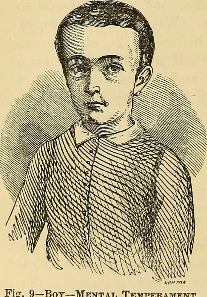 An illustration from How to teach according to temperament and mental development or : Phrenology in the school-room and the family / by Nelson Sizer., 1877, leaf 54