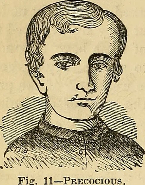 An illustration from How to teach according to temperament and mental development or : Phrenology in the school-room and the family / by Nelson Sizer., 1877, leaf 62