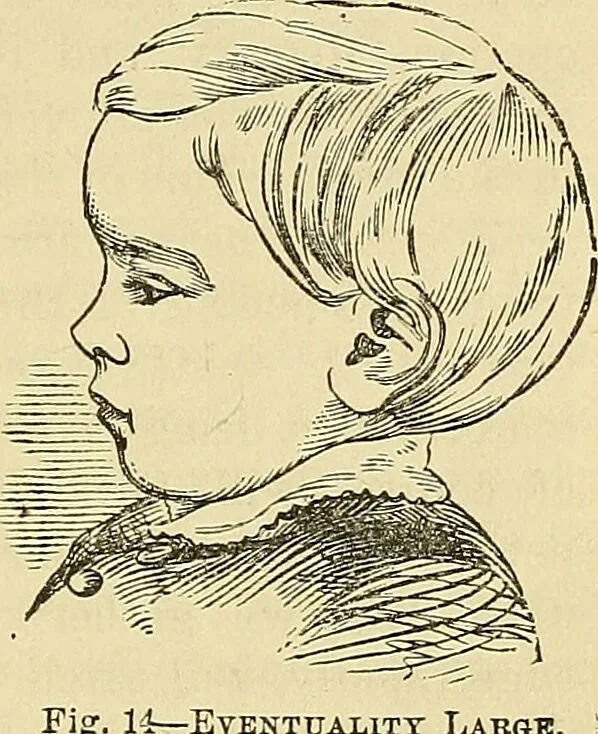 An illustration from How to teach according to temperament and mental development or : Phrenology in the school-room and the family / by Nelson Sizer., 1877, leaf 77