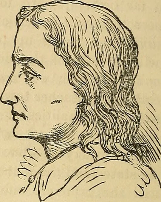 An illustration from How to teach according to temperament and mental development or : Phrenology in the school-room and the family / by Nelson Sizer., 1877, leaf 80