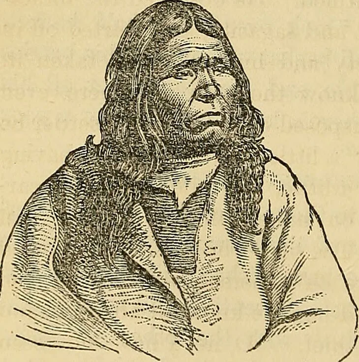 An illustration from How to teach according to temperament and mental development or : Phrenology in the school-room and the family / by Nelson Sizer., 1877, leaf 92