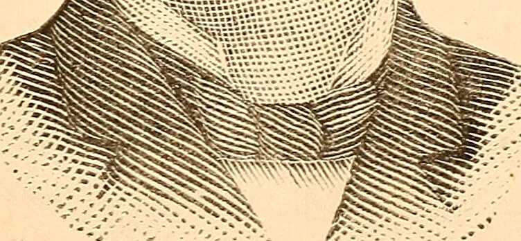 An illustration from Key to phrenology / by Prof. Wm. Seymour, practical phrenologist & psychologist, of Philadelphia., 1890, leaf 141