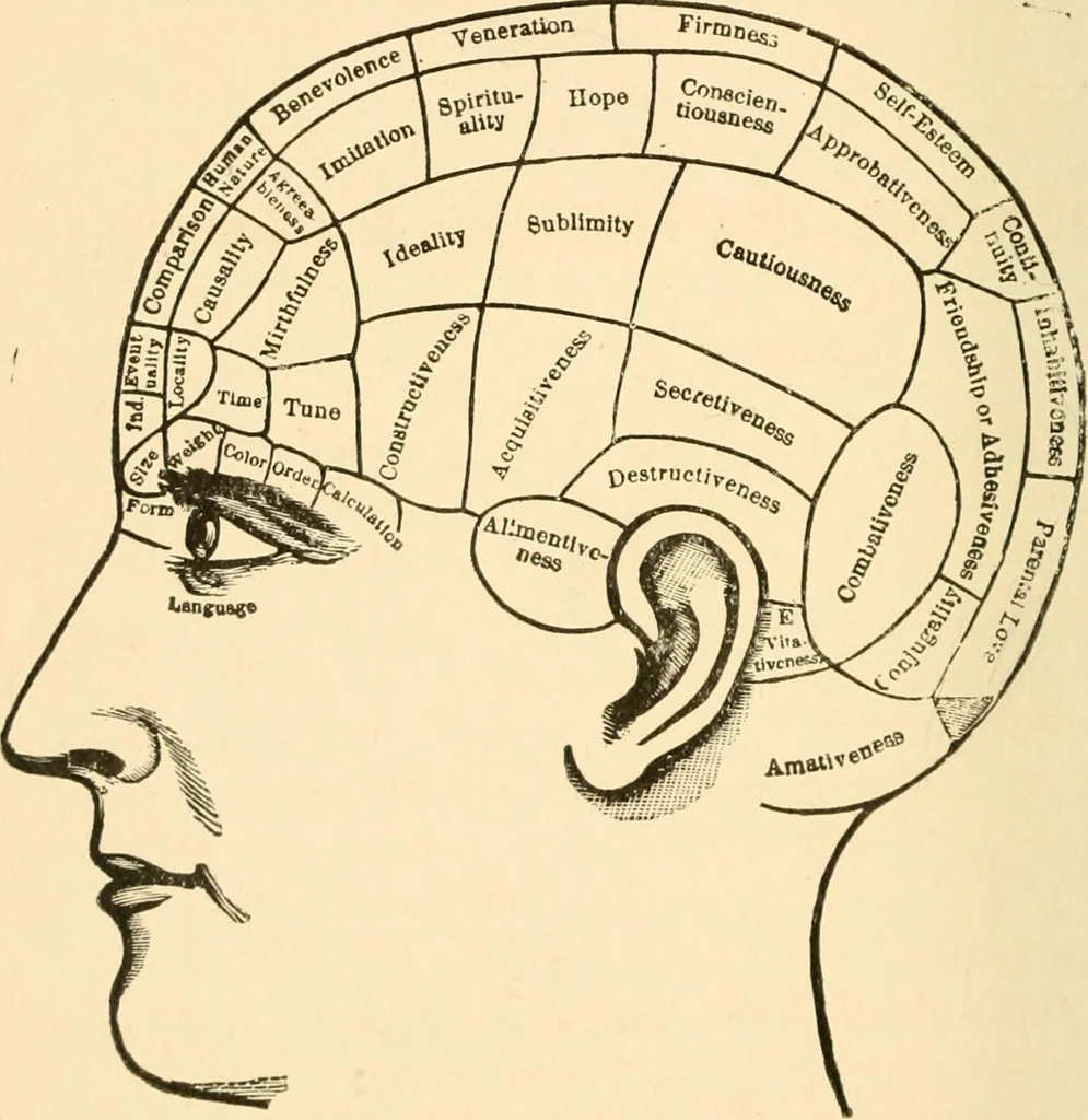 An illustration from Key to phrenology / by Prof. Wm. Seymour, practical phrenologist & psychologist, of Philadelphia., 1890, leaf 18