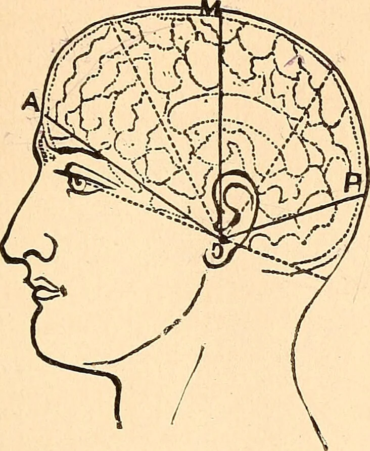 An illustration from Key to phrenology / by Prof. Wm. Seymour, practical phrenologist & psychologist, of Philadelphia., 1890, leaf 55