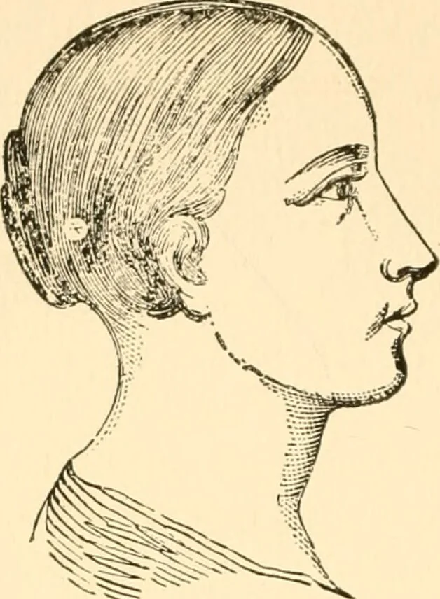 An illustration from Key to phrenology / by Prof. Wm. Seymour, practical phrenologist & psychologist, of Philadelphia., 1890, leaf 80
