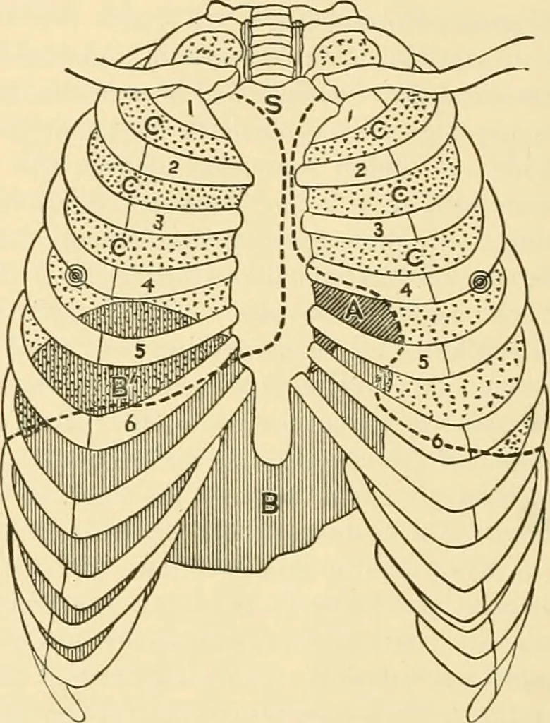 An illustration from Pediatrics : the hygienic and medical treatment of children / by Thomas Morgan Rotch., 1898, leaf 1134