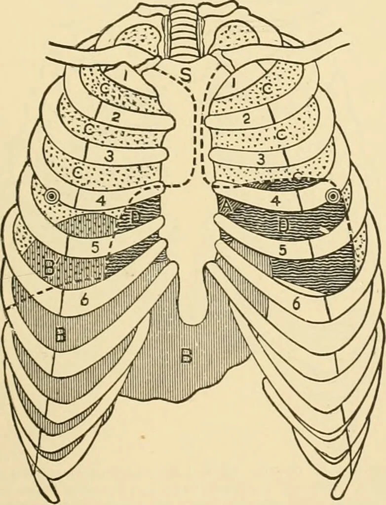 An illustration from Pediatrics : the hygienic and medical treatment of children / by Thomas Morgan Rotch., 1898, leaf 1135
