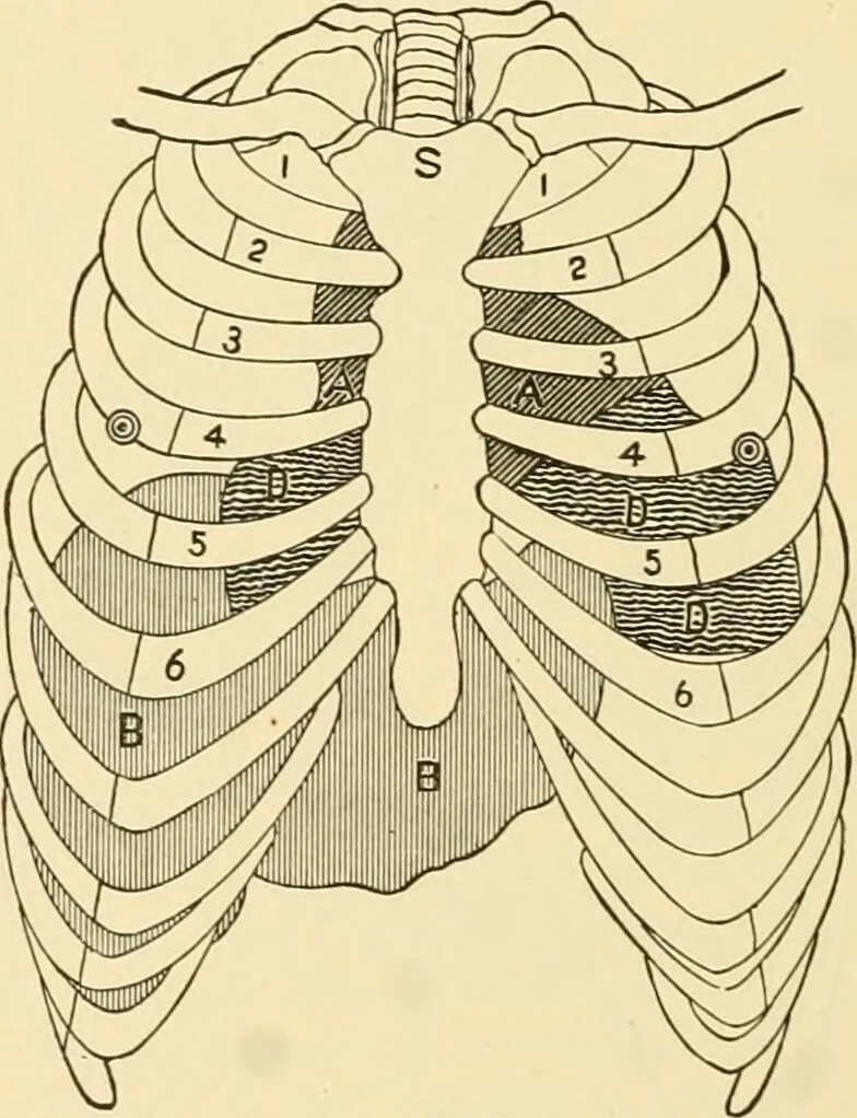An illustration from Pediatrics : the hygienic and medical treatment of children / by Thomas Morgan Rotch., 1898, leaf 1136