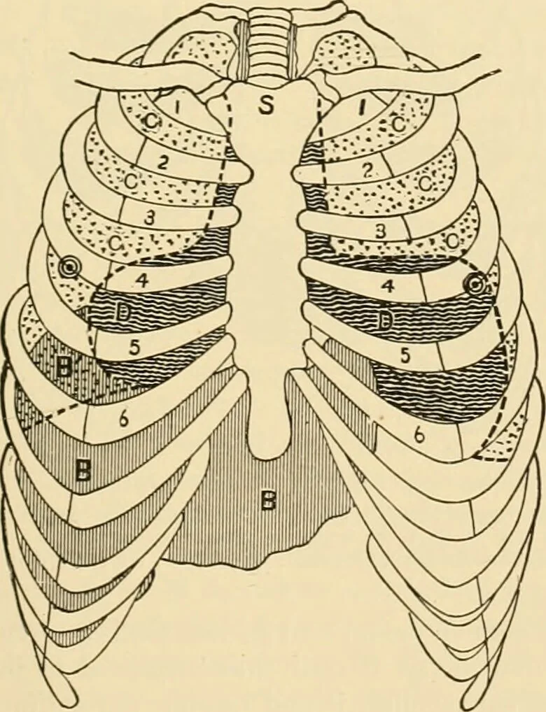 An illustration from Pediatrics : the hygienic and medical treatment of children / by Thomas Morgan Rotch., 1898, leaf 1137
