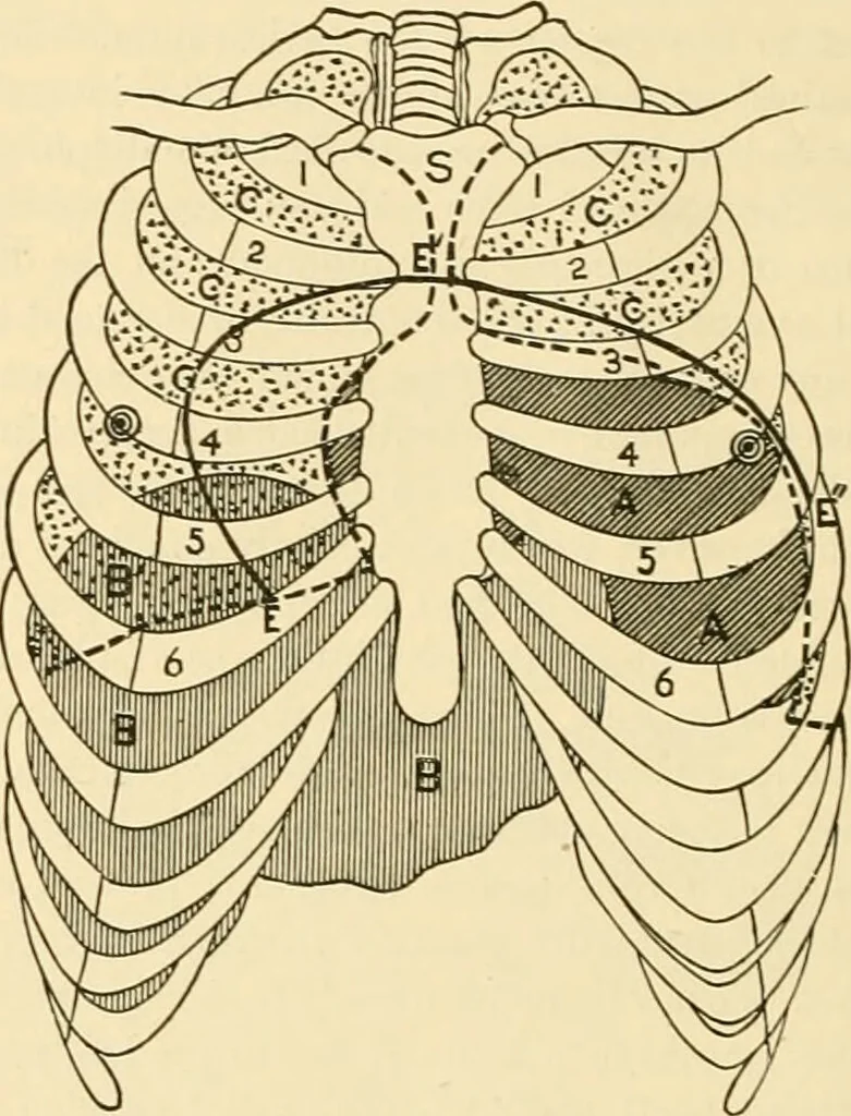 An illustration from Pediatrics : the hygienic and medical treatment of children / by Thomas Morgan Rotch., 1898, leaf 1140