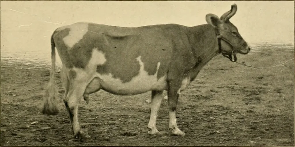 An illustration from Pediatrics : the hygienic and medical treatment of children / by Thomas Morgan Rotch., 1898, leaf 257