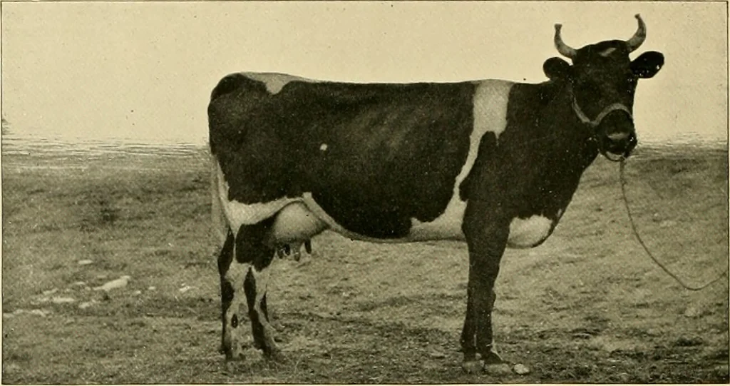 An illustration from Pediatrics : the hygienic and medical treatment of children / by Thomas Morgan Rotch., 1898, leaf 258