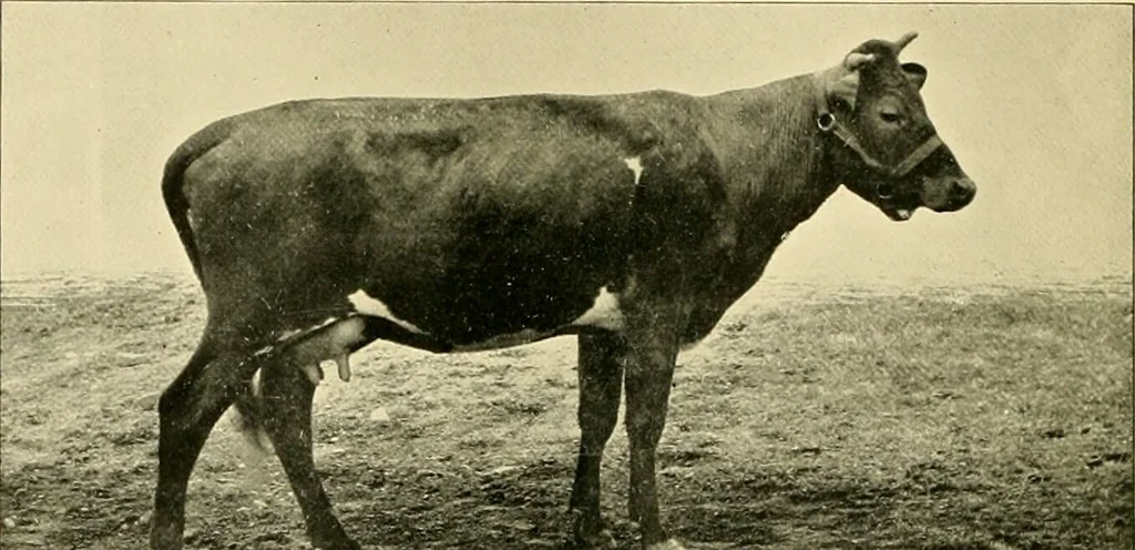 An illustration from Pediatrics : the hygienic and medical treatment of children / by Thomas Morgan Rotch., 1898, leaf 258