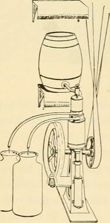 An illustration from Pediatrics : the hygienic and medical treatment of children / by Thomas Morgan Rotch., 1898, leaf 280