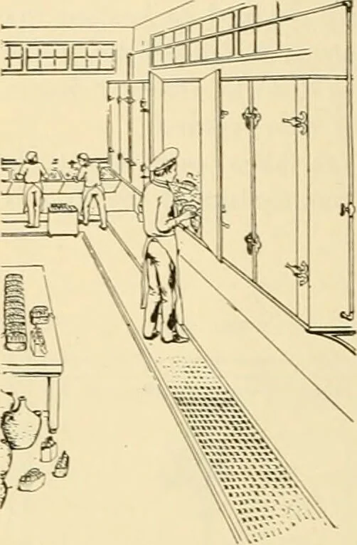 An illustration from Pediatrics : the hygienic and medical treatment of children / by Thomas Morgan Rotch., 1898, leaf 286