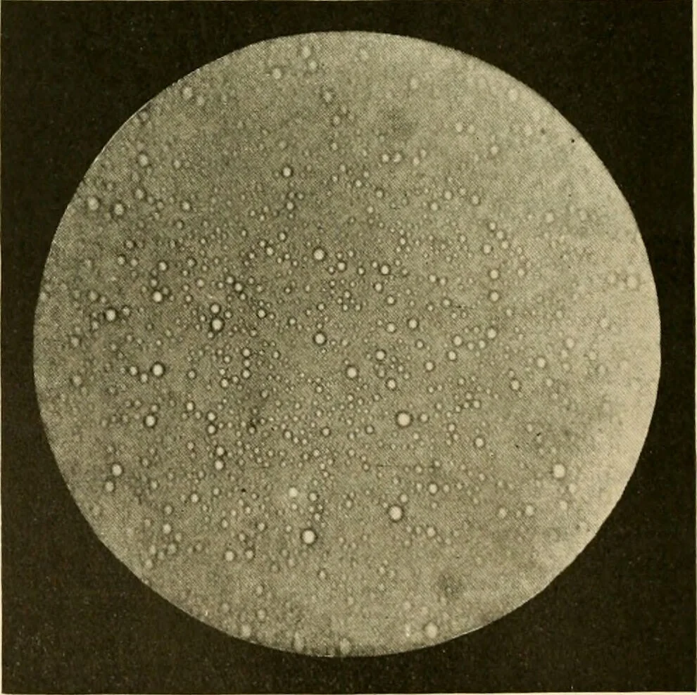 An illustration from Pediatrics : the hygienic and medical treatment of children / by Thomas Morgan Rotch., 1898, leaf 292