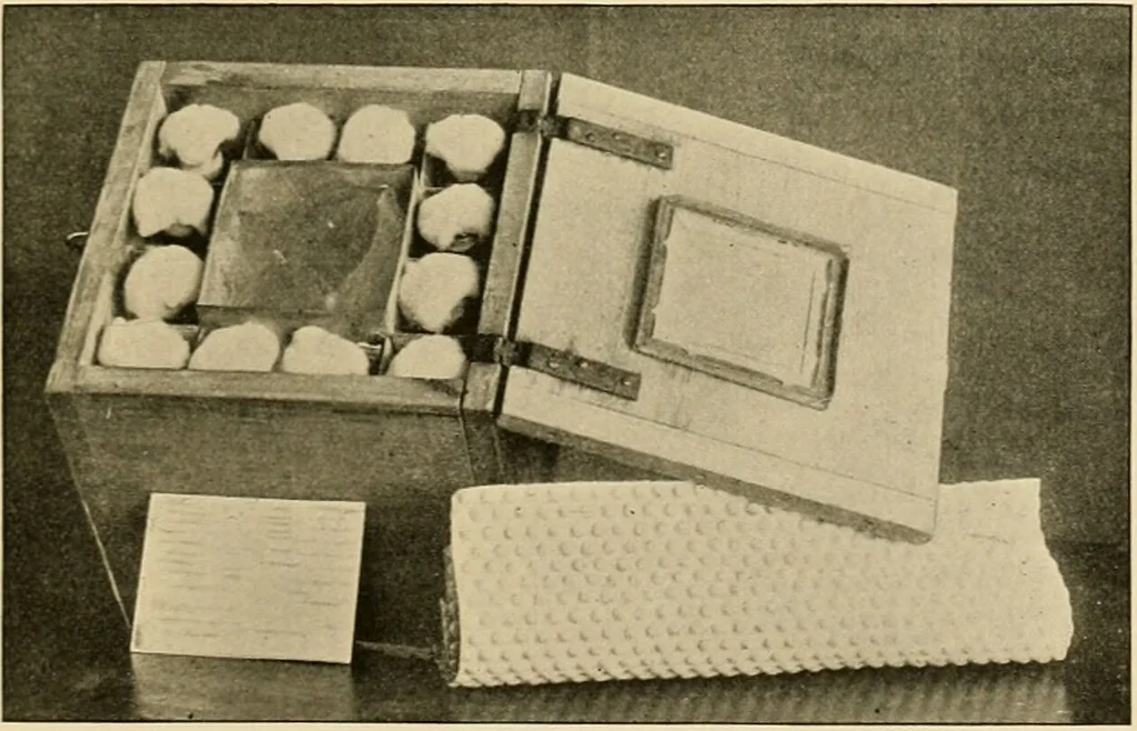 An illustration from Pediatrics : the hygienic and medical treatment of children / by Thomas Morgan Rotch., 1898, leaf 295