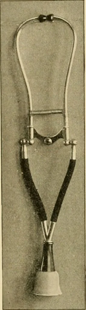 An illustration from Pediatrics : the hygienic and medical treatment of children / by Thomas Morgan Rotch., 1898, leaf 363