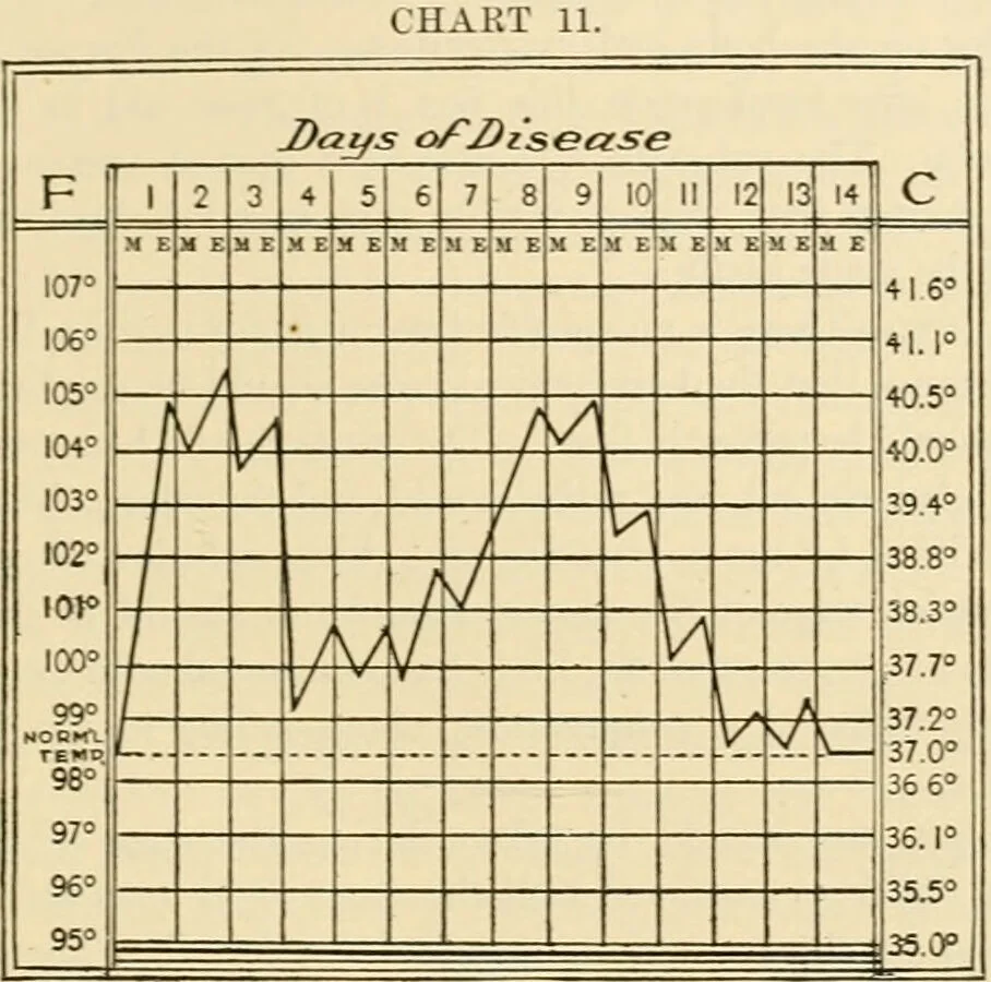 An illustration from Pediatrics : the hygienic and medical treatment of children / by Thomas Morgan Rotch., 1898, leaf 573