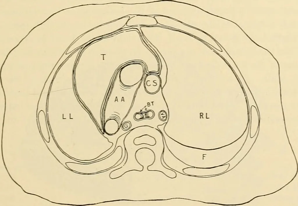 An illustration from Pediatrics : the hygienic and medical treatment of children / by Thomas Morgan Rotch., 1898, leaf 83