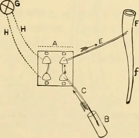 An illustration from Pediatrics : the hygienic and medical treatment of children / by Thomas Morgan Rotch., 1898, leaf 855