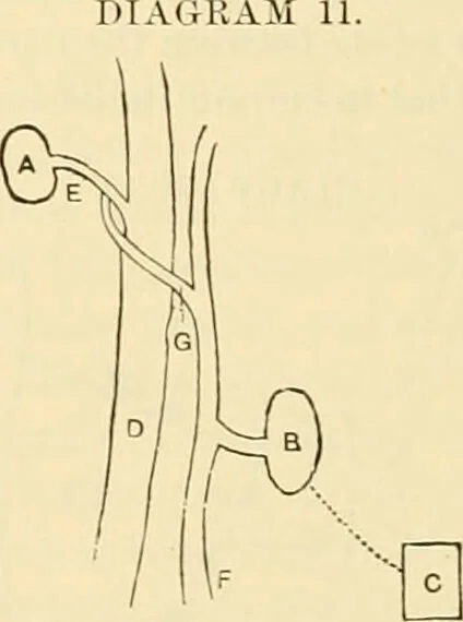 An illustration from Pediatrics : the hygienic and medical treatment of children / by Thomas Morgan Rotch., 1898, leaf 856