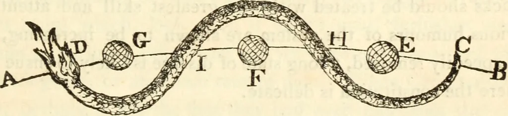 An illustration from The astrologer of the nineteenth century / By the members of the Mercurii: Raphael ... and other sideral [sic] artists., 1825, leaf 181