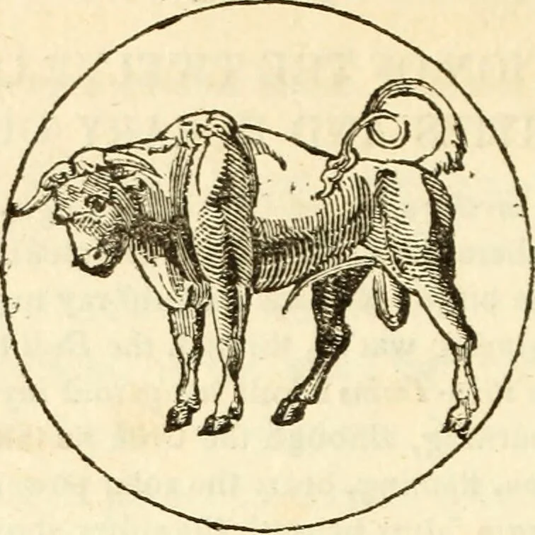 An illustration from The astrologer of the nineteenth century / By the members of the Mercurii: Raphael ... and other sideral [sic] artists., 1825, leaf 322