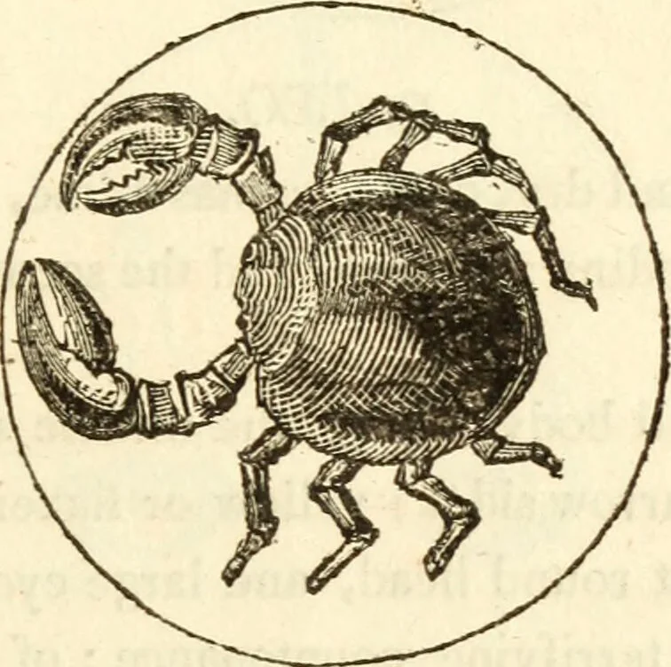 An illustration from The astrologer of the nineteenth century / By the members of the Mercurii: Raphael ... and other sideral [sic] artists., 1825, leaf 323