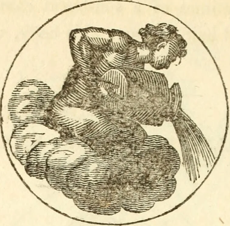 An illustration from The astrologer of the nineteenth century / By the members of the Mercurii: Raphael ... and other sideral [sic] artists., 1825, leaf 328