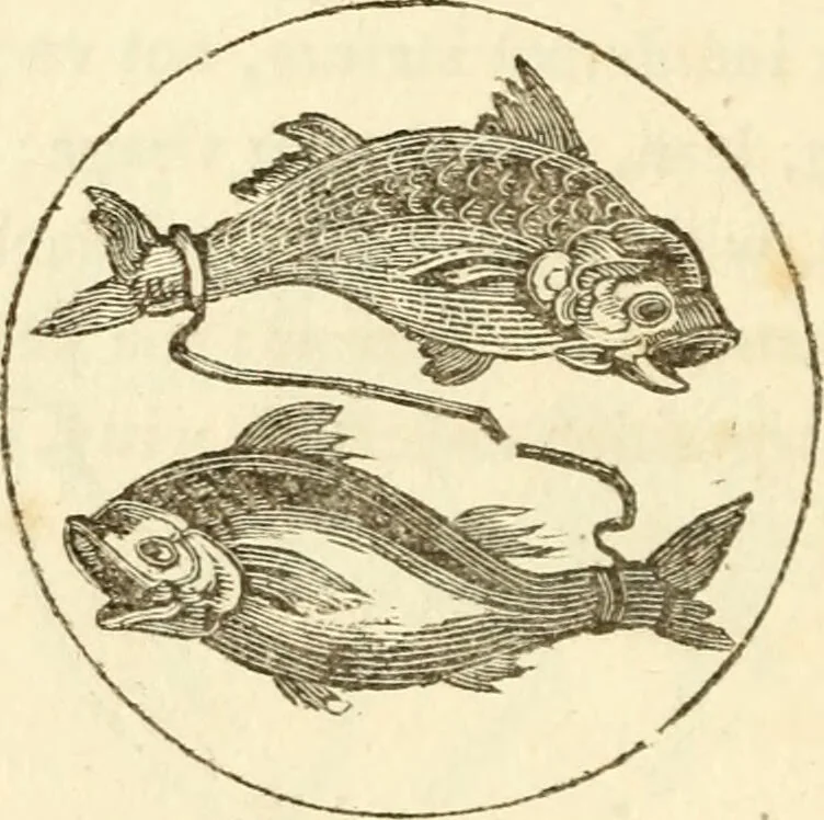 An illustration from The astrologer of the nineteenth century / By the members of the Mercurii: Raphael ... and other sideral [sic] artists., 1825, leaf 328
