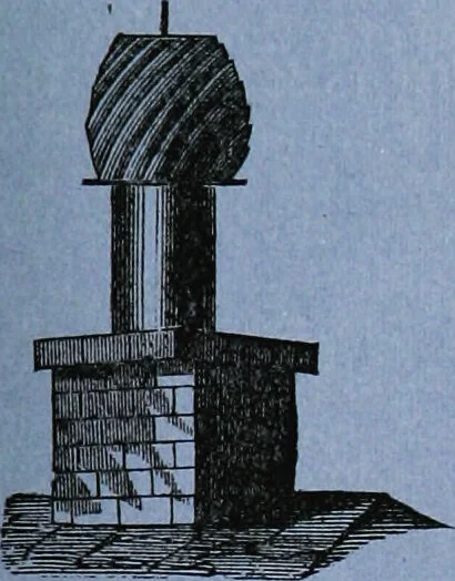 An illustration from The influence of the blue ray of the sunlight and of the blue colour of the sky : in developing animal and vegetable life; in arresting disease, and in restoring health in acute and chronic disorders to human and domestic animals / as illustrated by the experiments of Gen. A. J. Pleasonton, and others, between the years 1861 and 1876. Addressed to the Philadelphia society for promoting agriculture., 1876, leaf 139