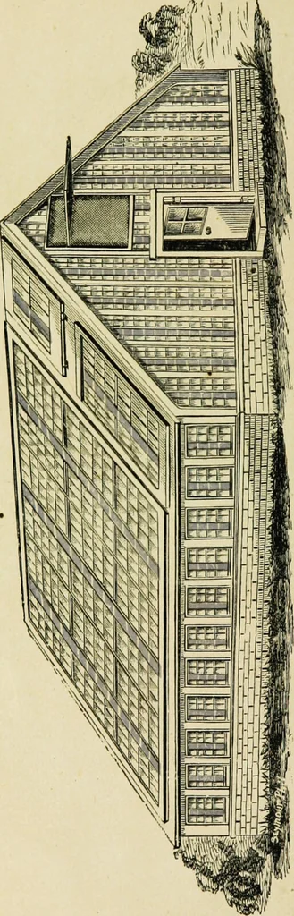 An illustration from The influence of the blue ray of the sunlight and of the blue colour of the sky : in developing animal and vegetable life; in arresting disease, and in restoring health in acute and chronic disorders to human and domestic animals / as illustrated by the experiments of Gen. A. J. Pleasonton, and others, between the years 1861 and 1876. Addressed to the Philadelphia society for promoting agriculture., 1876, leaf 4