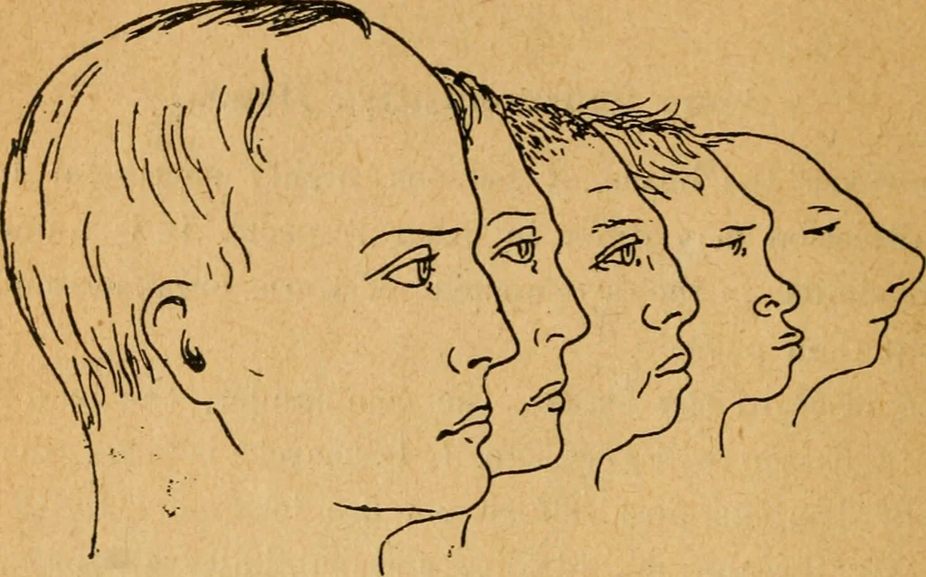 An illustration from Phrenology : essays and studies / by Stackpool E. O'Dell and Geelossapuss E. O'Dell., 1899, leaf 12