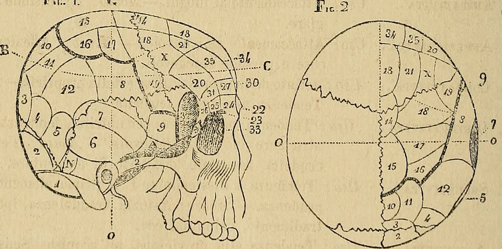 An illustration from Questioni filosofiche, sociali, mediche e medico-forensi : trattate coi principii della fisiologia del cervello / pel Dottore Biagio G. Miraglia., 1883, leaf 332