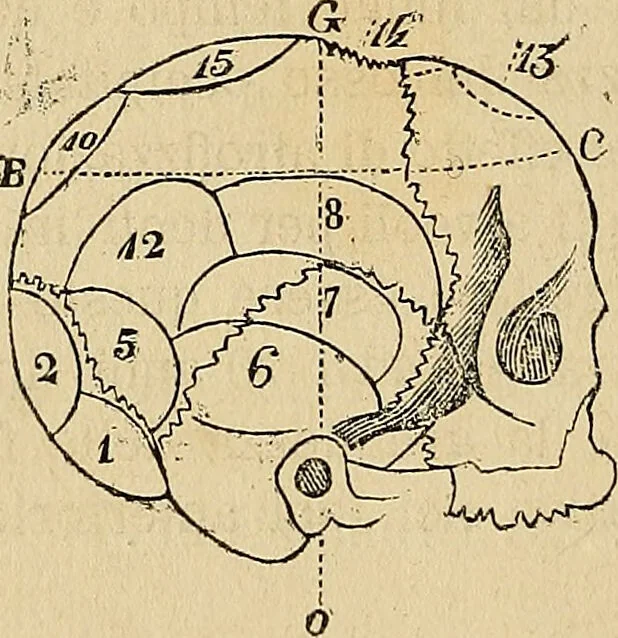 An illustration from Questioni filosofiche, sociali, mediche e medico-forensi : trattate coi principii della fisiologia del cervello / pel Dottore Biagio G. Miraglia., 1883, leaf 340
