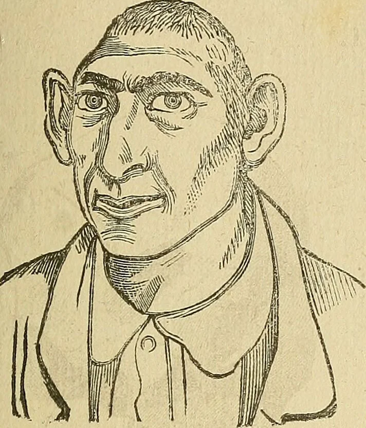 An illustration from Questioni filosofiche, sociali, mediche e medico-forensi : trattate coi principii della fisiologia del cervello / pel Dottore Biagio G. Miraglia., 1883, leaf 447